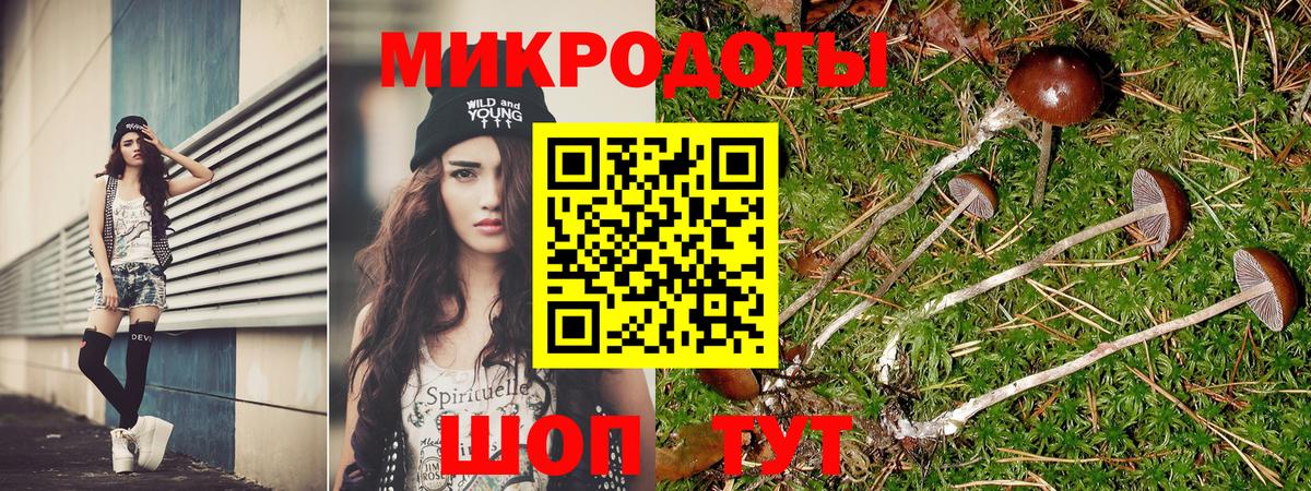 Галлюциногенные грибы прущие грибы  как найти наркотики  Галлюциногенные грибы Psilocybe  Осинники  Вход с VPN 