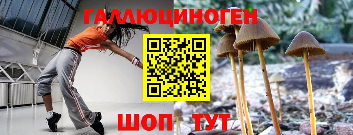 Псилоцибиновые грибы мицелий Осинники